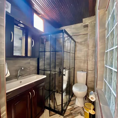 Seafront Mansion Summer House In Vakantiehuis Ayvalı