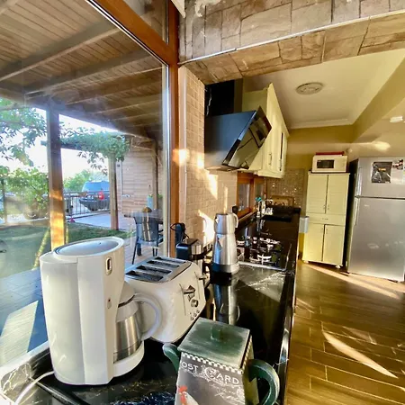 Seafront Mansion Summer House In *