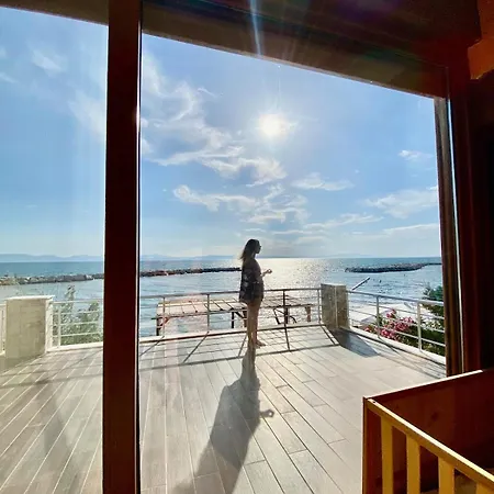 Vakantiehuis Seafront Mansion Summer House In