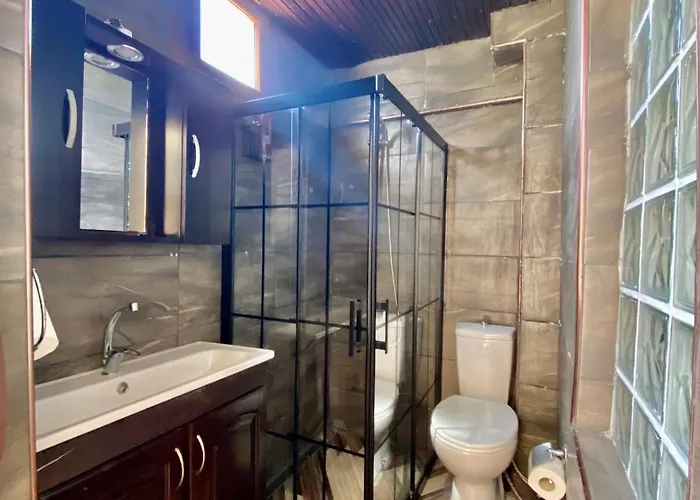 Seafront Mansion Summer House In Ferienhaus Ayvalı